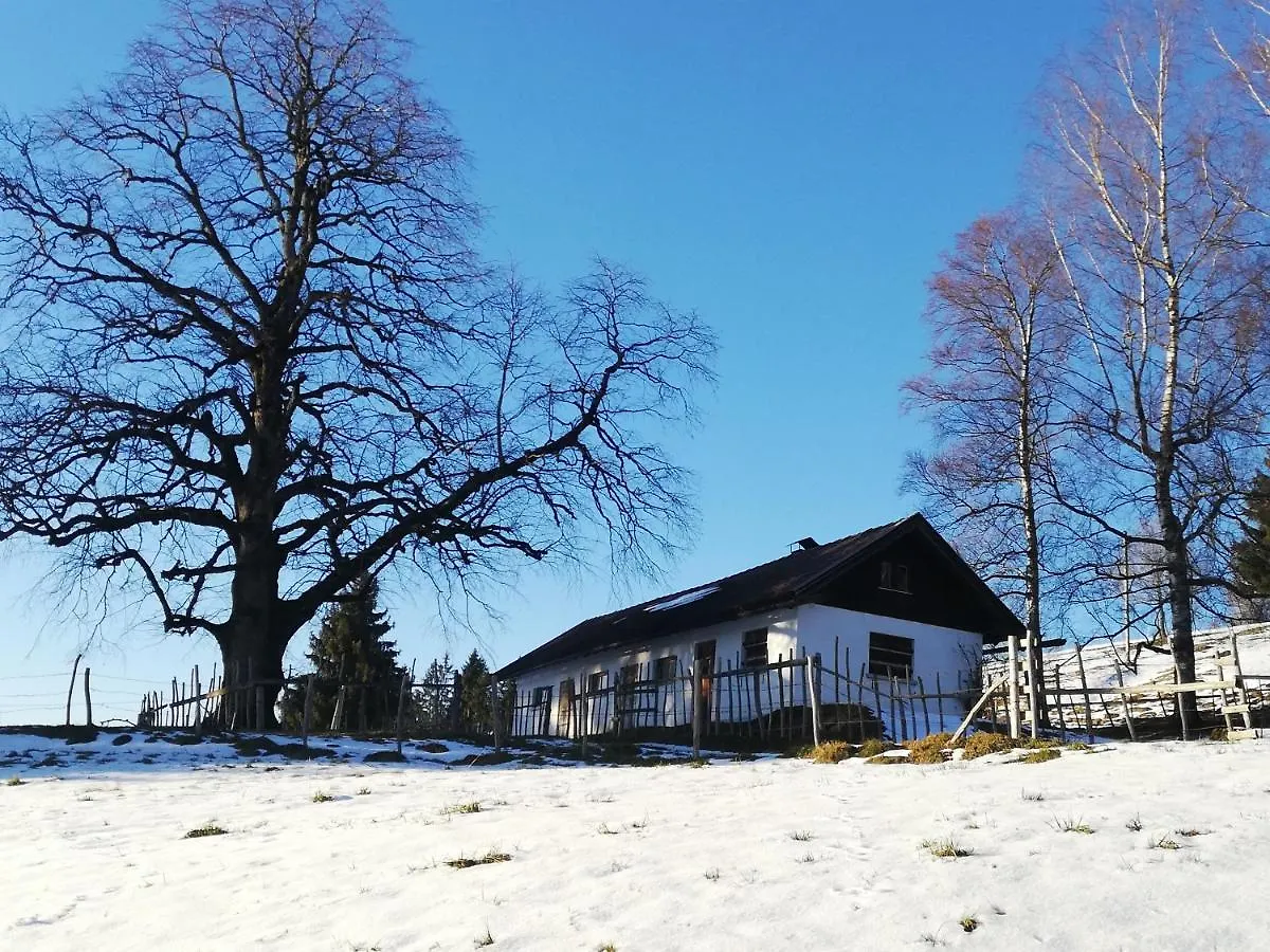 Apartment Appartement Alpblick Sonthofen